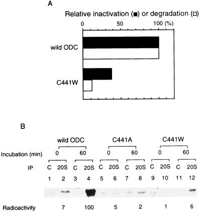 FIG. 9