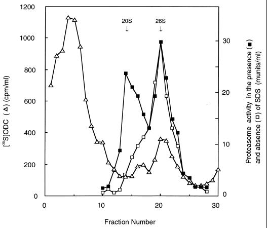 FIG. 6