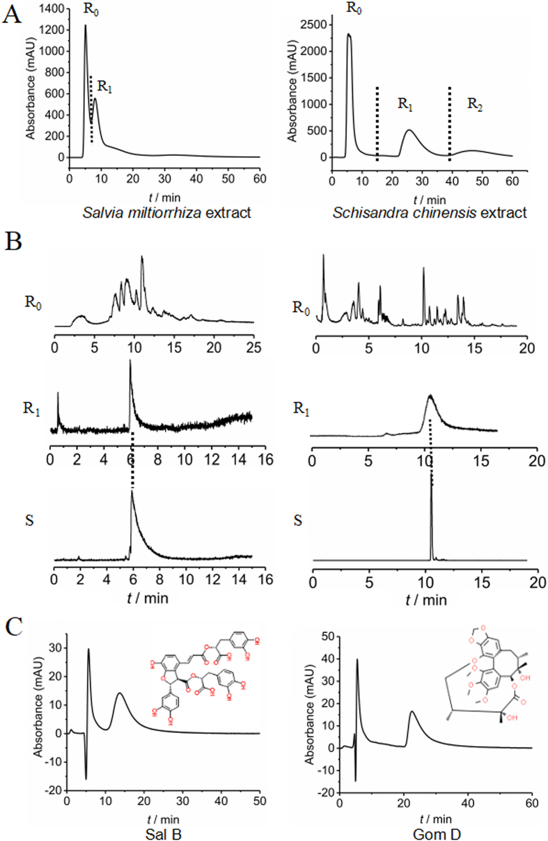 Figure 5