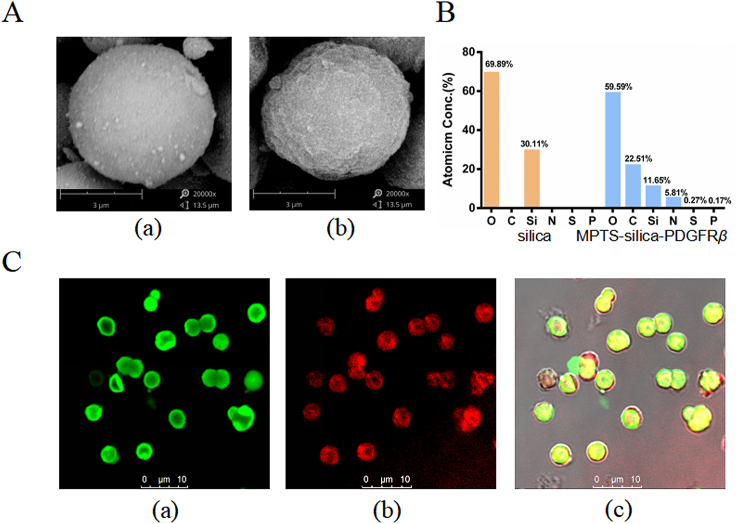 Figure 3