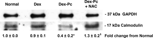 FIG. 6.