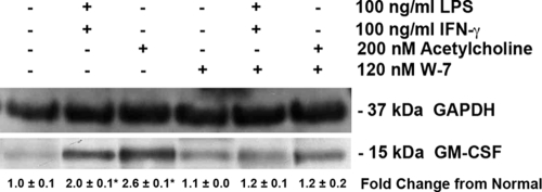 FIG. 7.