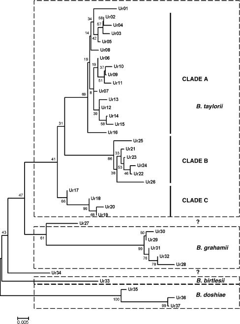 Figure 1