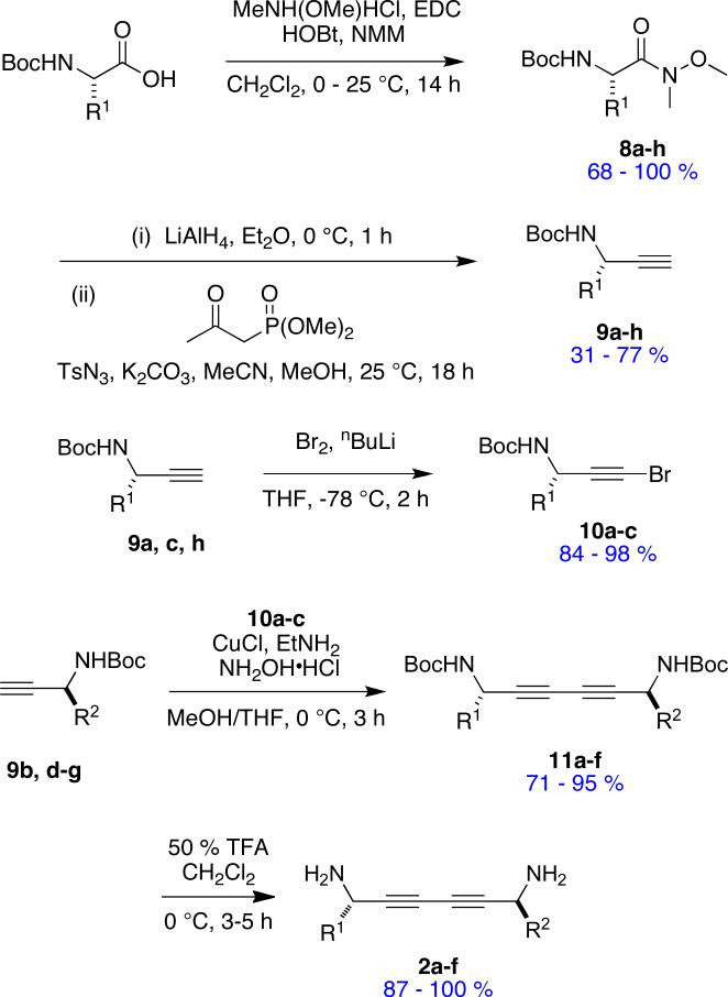 Scheme 2