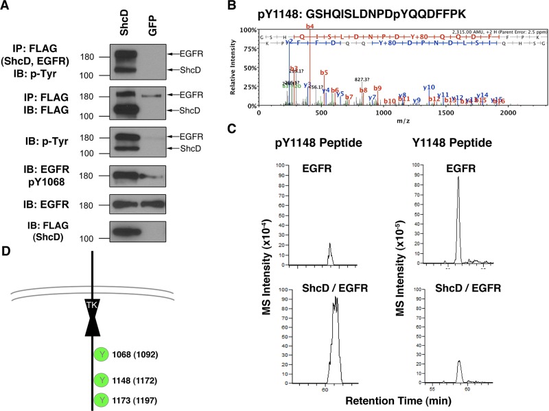 FIGURE 3: