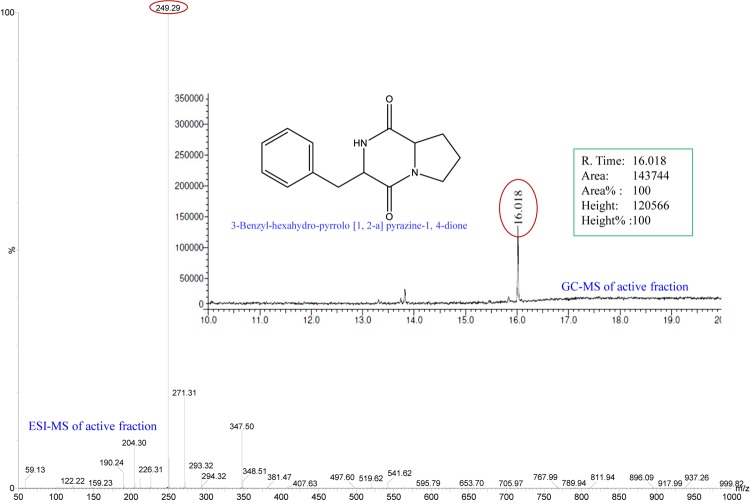 FIGURE 1