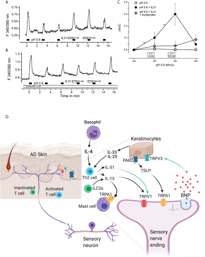 Figure 1