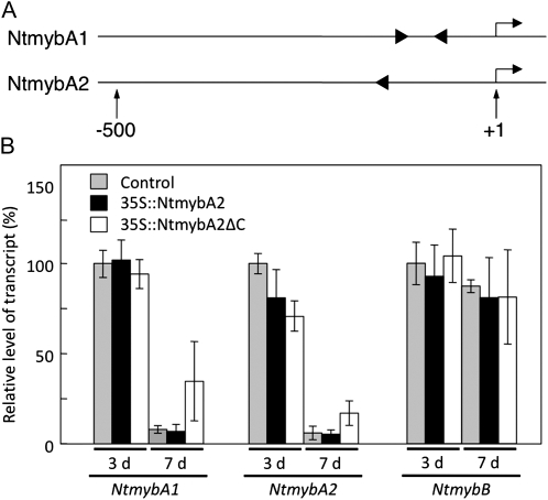 Figure 7.