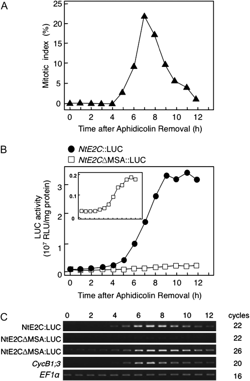 Figure 5.