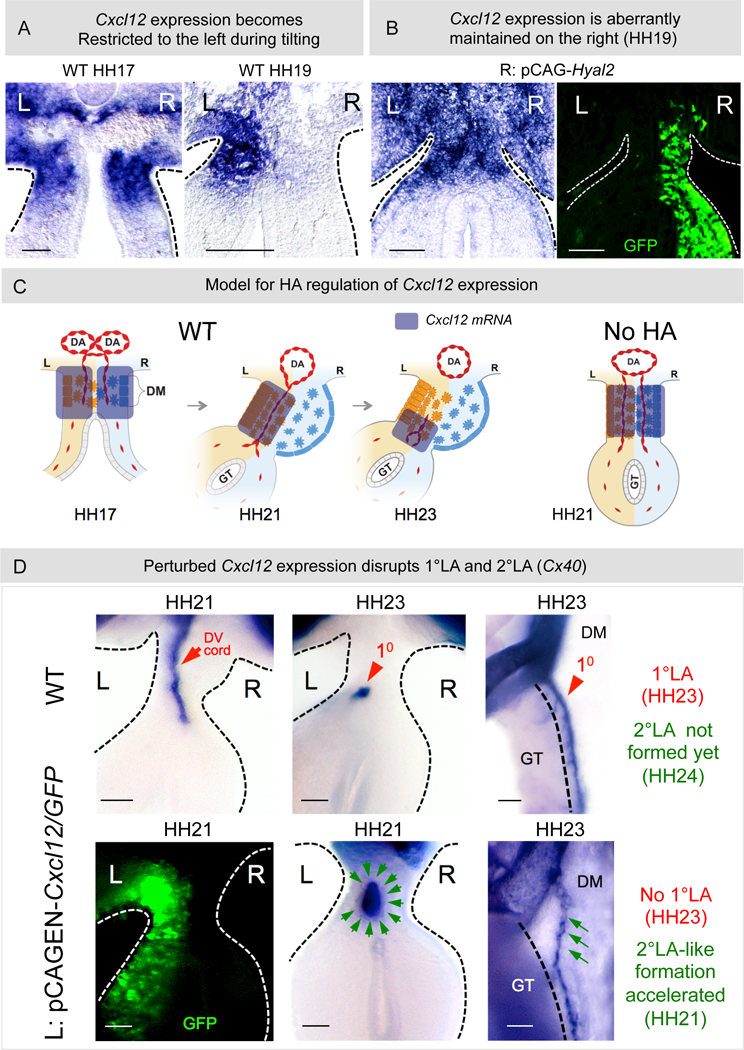 Figure 6: