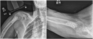 Figure 1