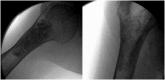 Figure 4