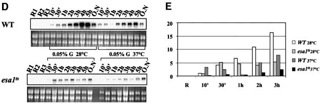 graphic file with name cdf113f6b.jpg