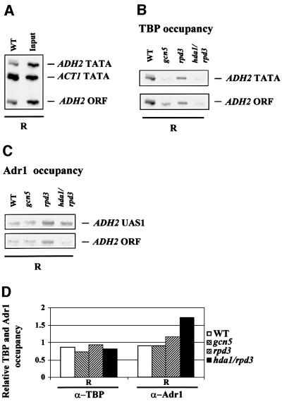 graphic file with name cdf113f5.jpg