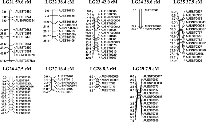 Figure 1.—