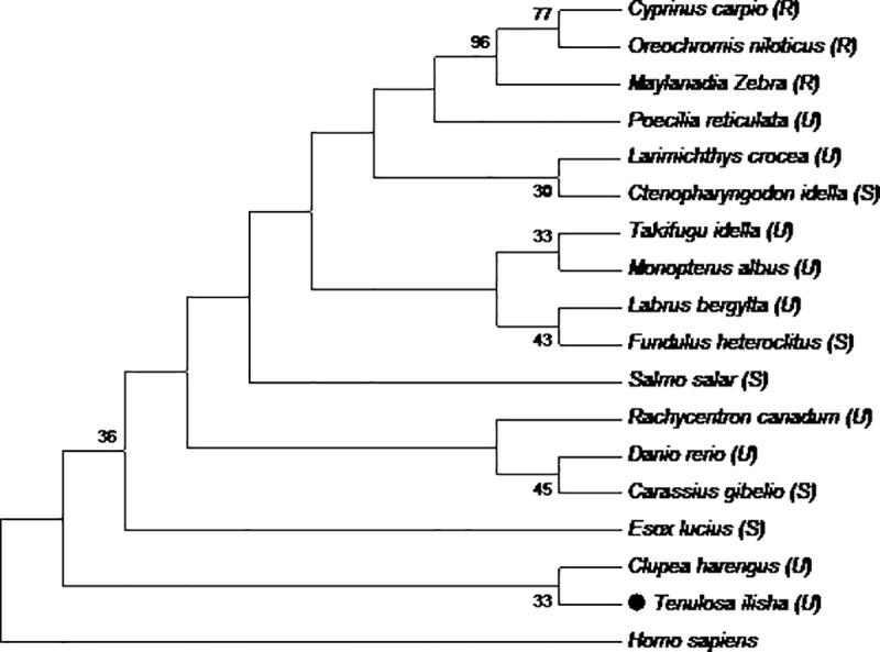 Fig 4