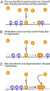 Fig. 6.