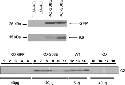 Fig. 2.