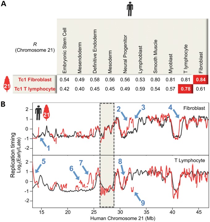 Figure 1.