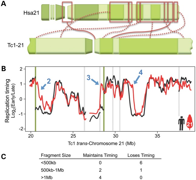 Figure 3.