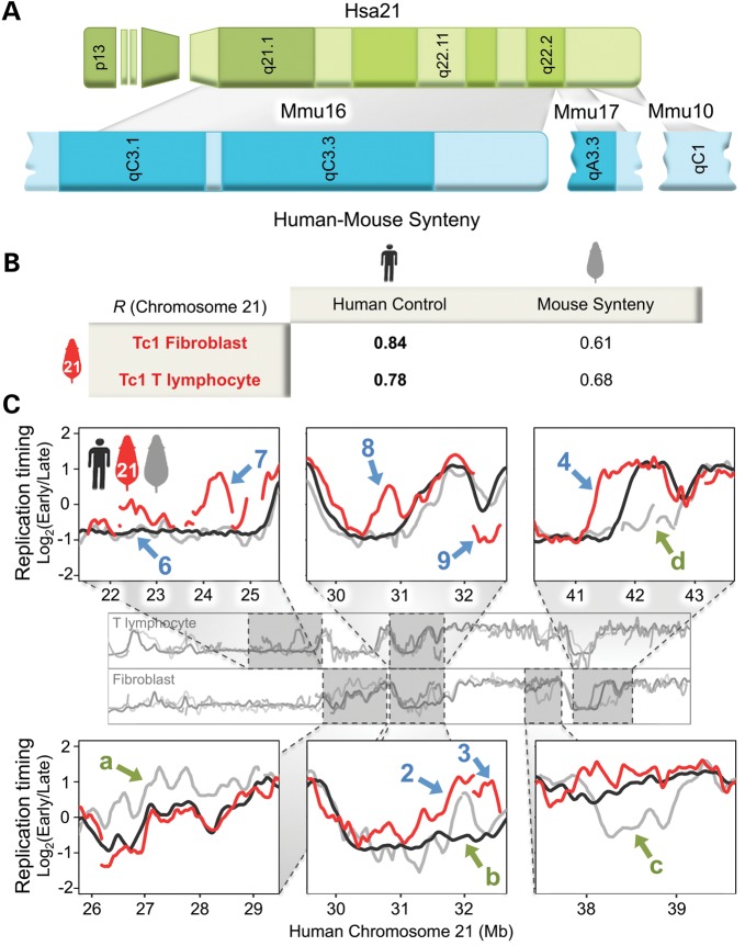 Figure 2.