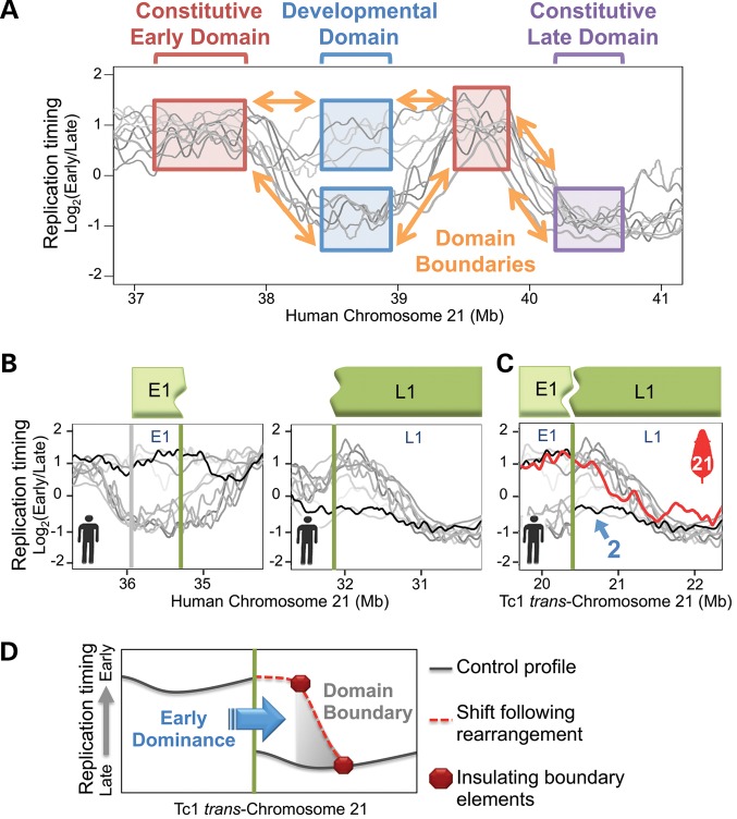 Figure 4.