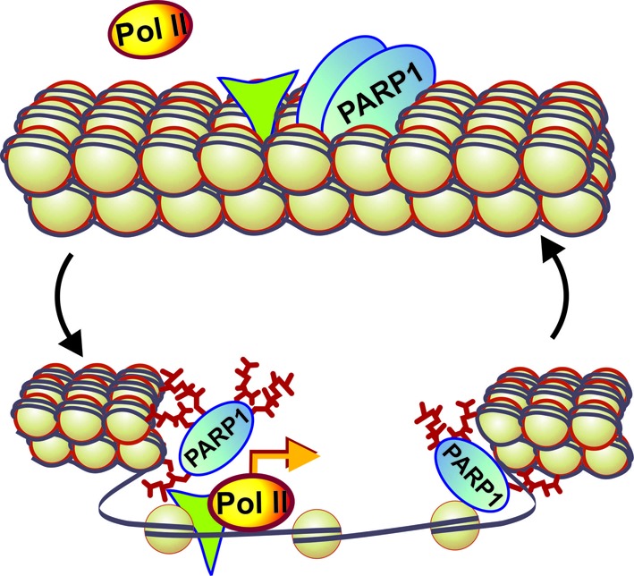 Figure 7.