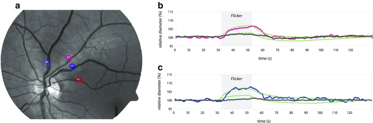 Fig. 4