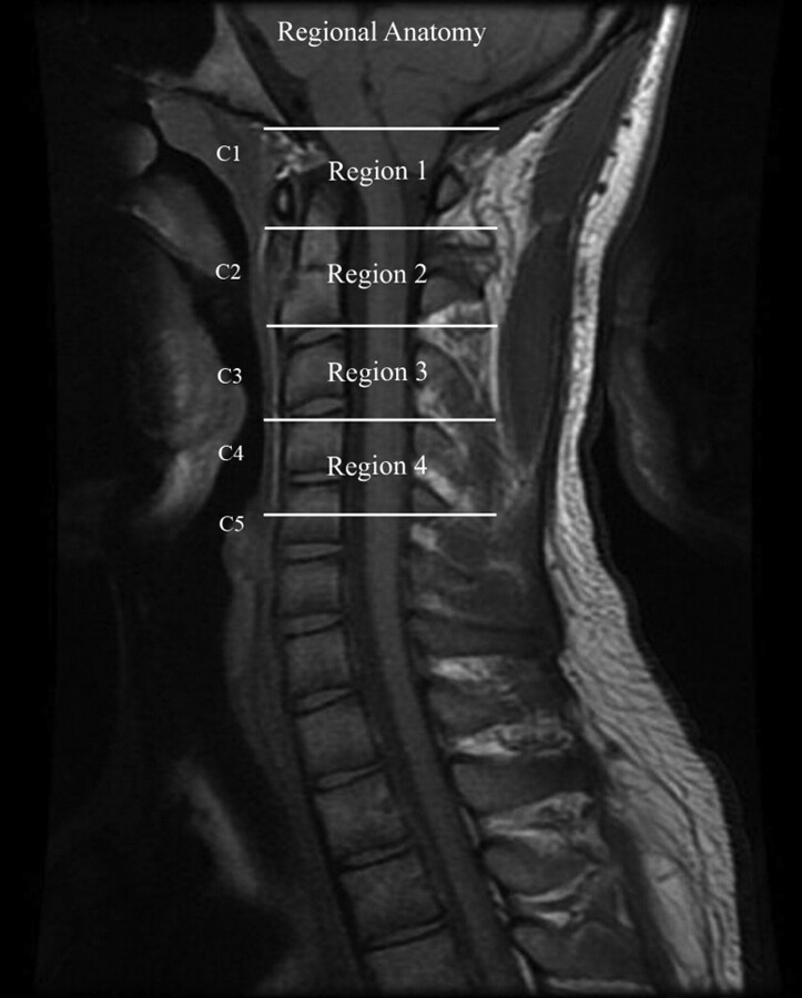 Fig 1.