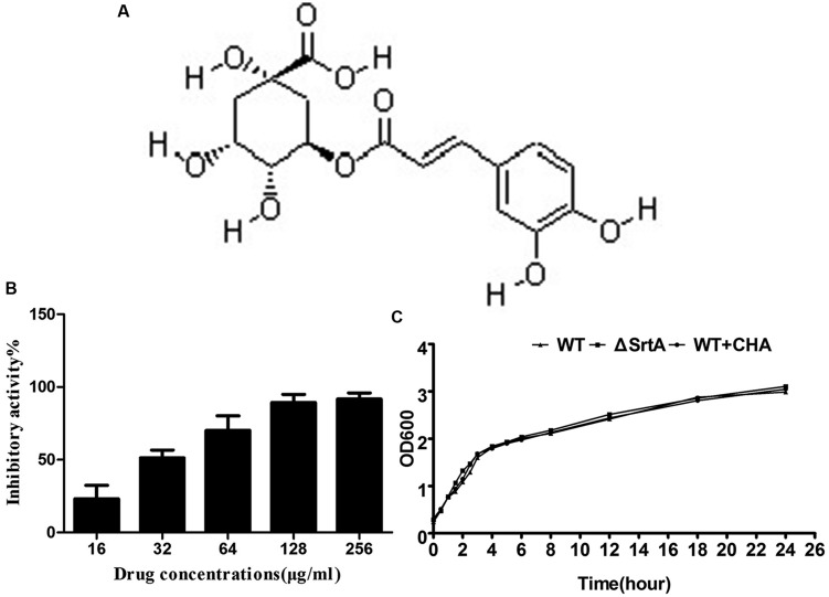 FIGURE 1