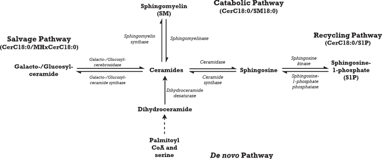 Fig.1