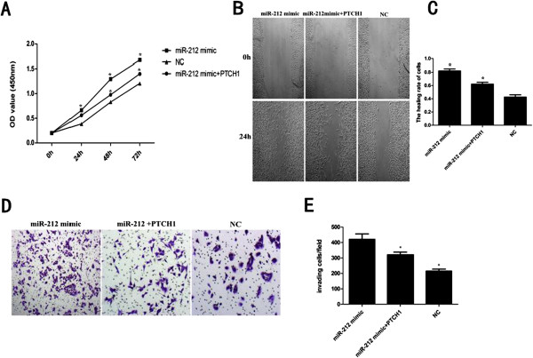 Figure 5