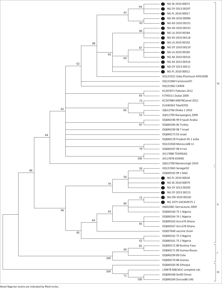 FIGURE 2