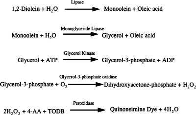 Fig. 1.