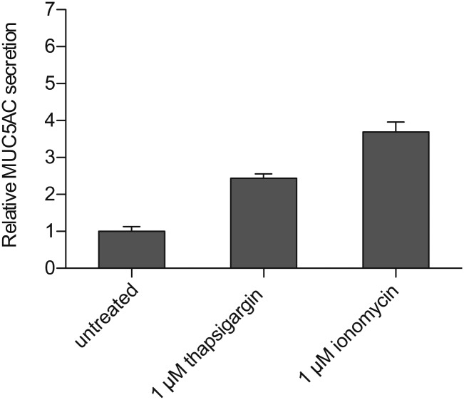 Figure 7—figure supplement 1.