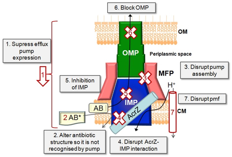 FIGURE 2