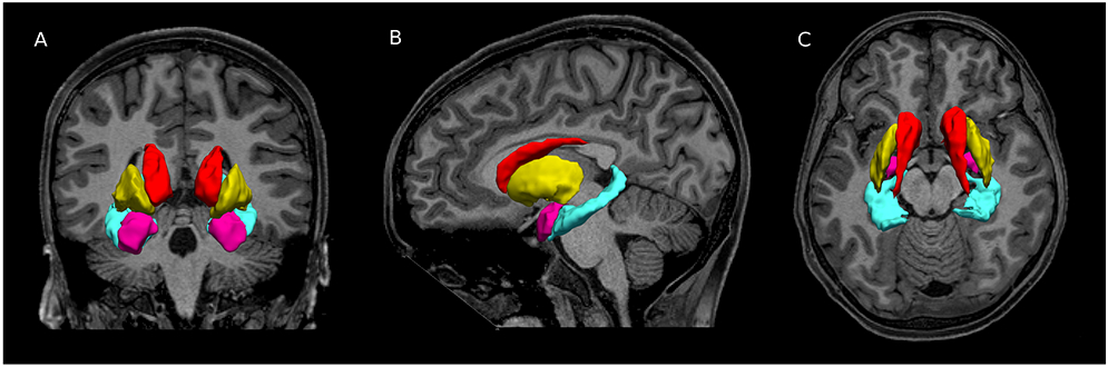 Figure 1.