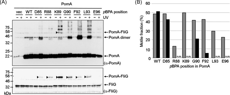 FIG 1