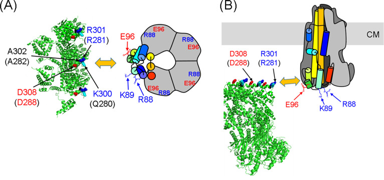 FIG 6