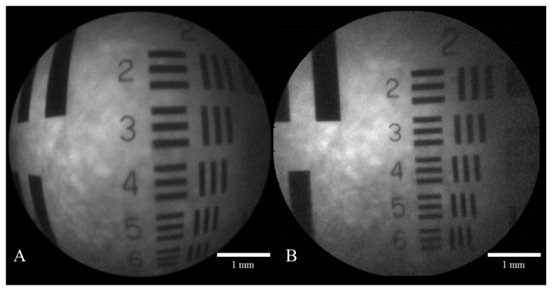 Fig. 8