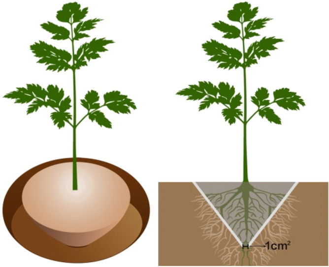 Figure 15