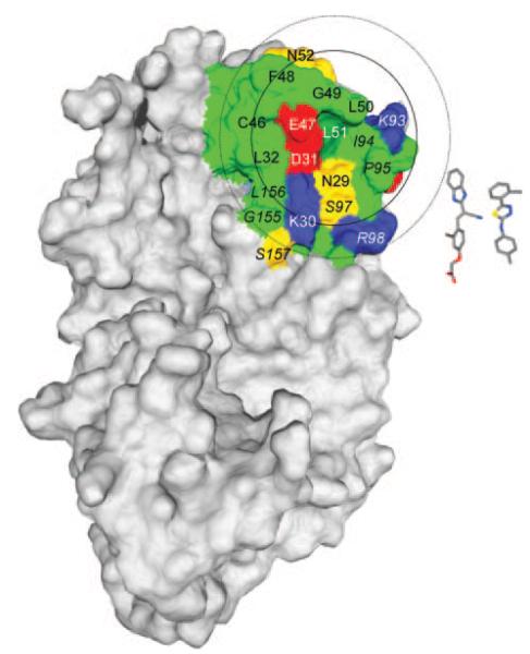 FIGURE 10