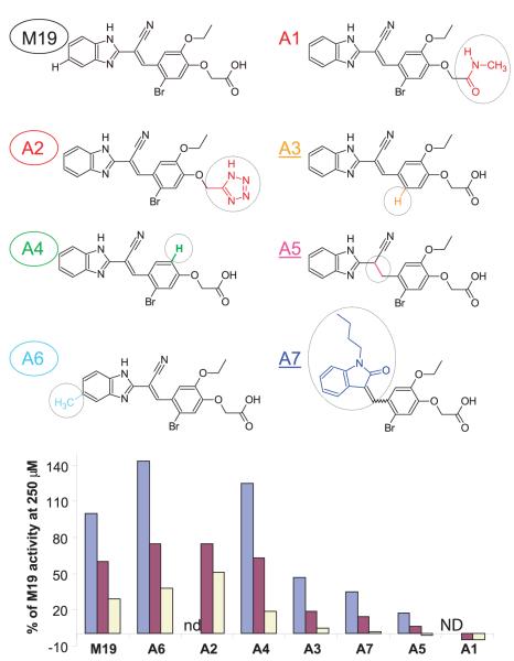 FIGURE 6