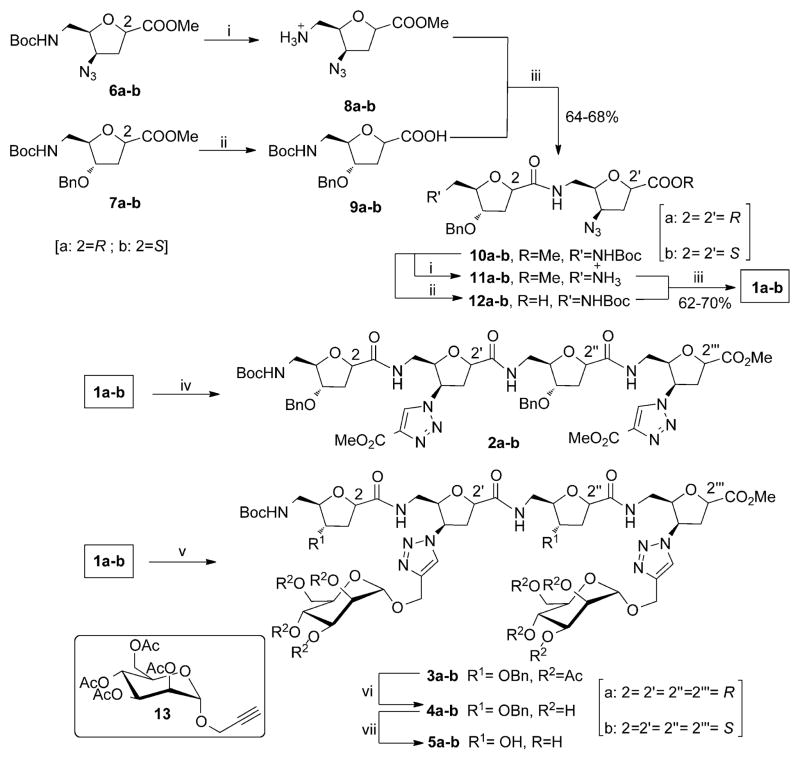 Scheme 2