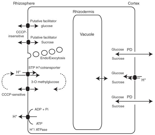 Figure 10