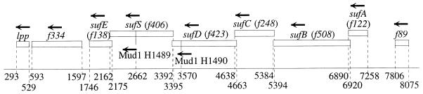 FIG. 1