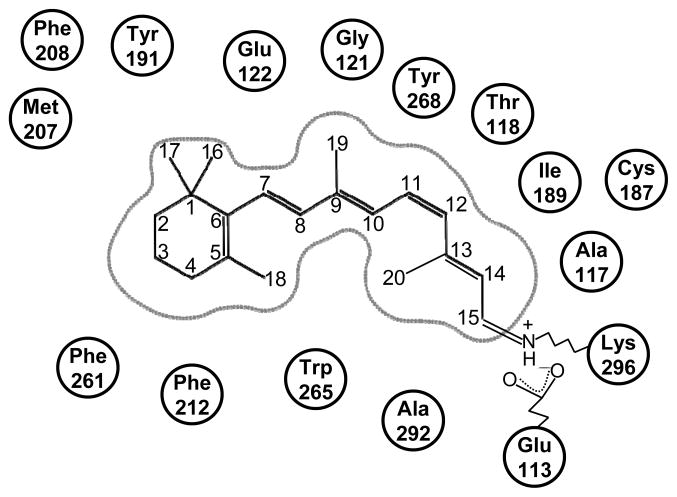 Figure 4