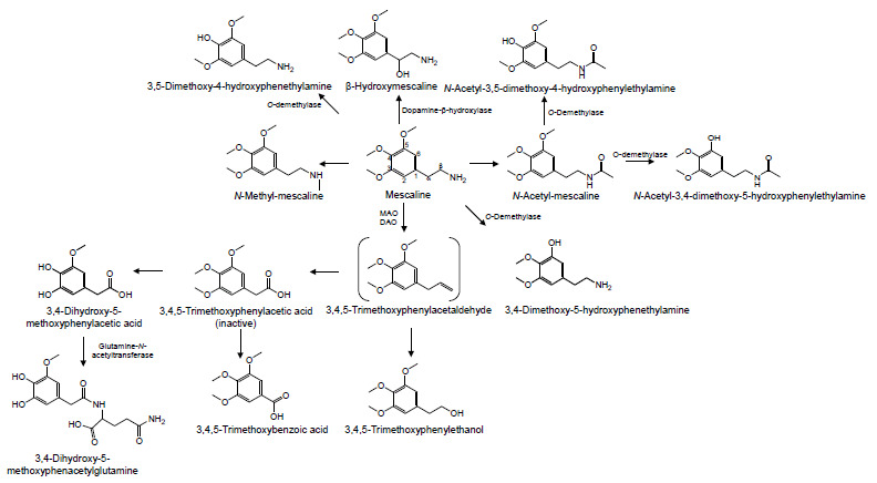 Fig. (5)