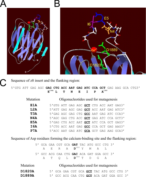 FIGURE 1.