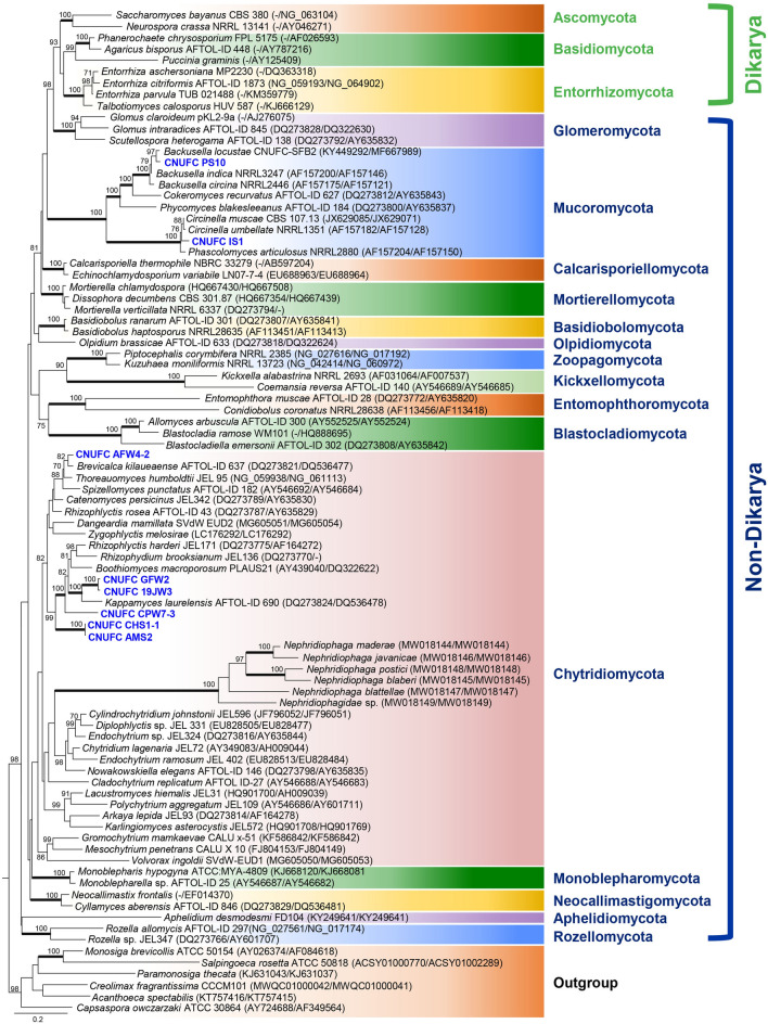 Fig. 2